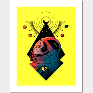 Chimp in Space Posters and Art